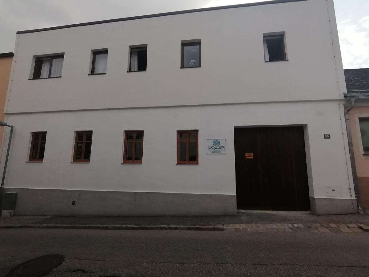 Catalleya Haus Langenlois Eksteriør billede